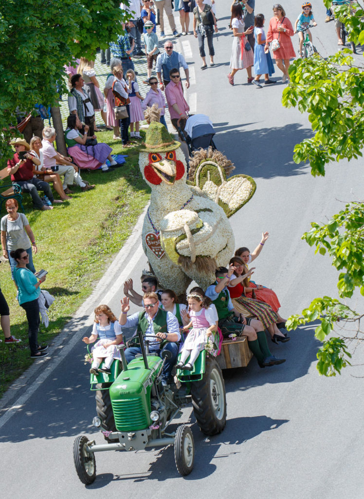 Reise Nach - Narzissenfest
